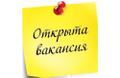 Работа на дому без вложений